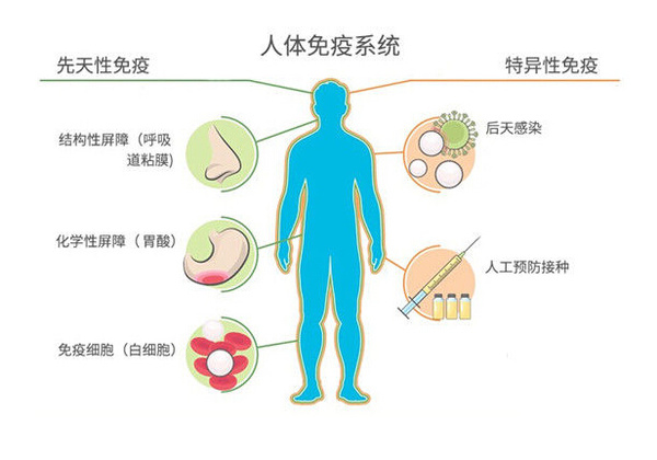 免疫墙下载，守护网络安全与隐私安全的必备工具