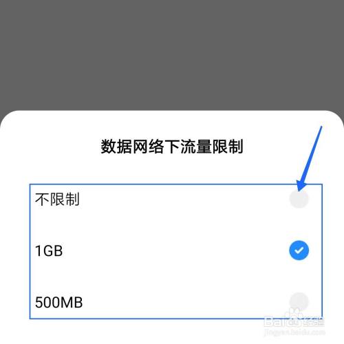 高效灵活的网络数据传输，如何用流量下载设置