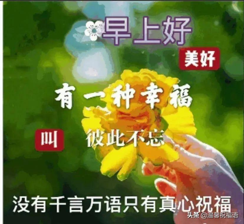 早上好，拥抱生活的无限美好开启新的一天