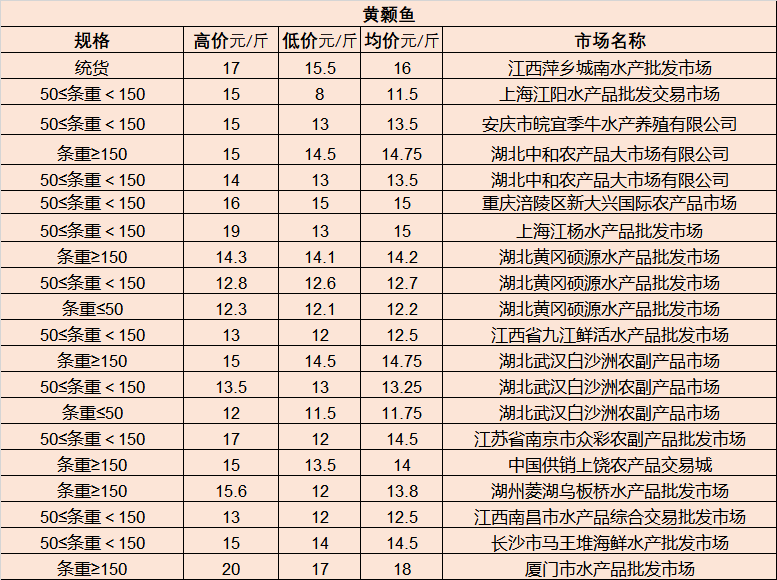 普洱市外事办公室新项目，国际化进程与多元文化交流的新起点