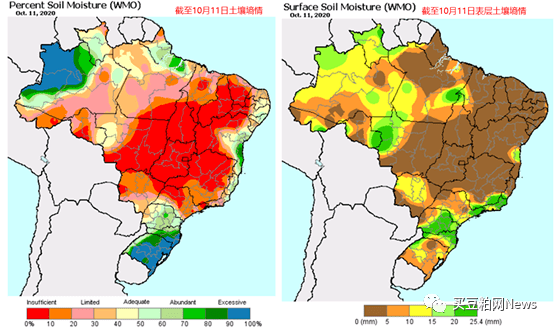 豆张庄乡天气预报更新通知