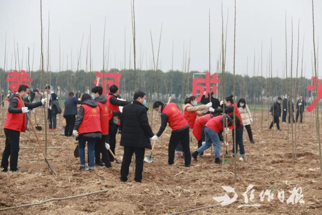 嘉应观乡新领导引领未来新篇章开启