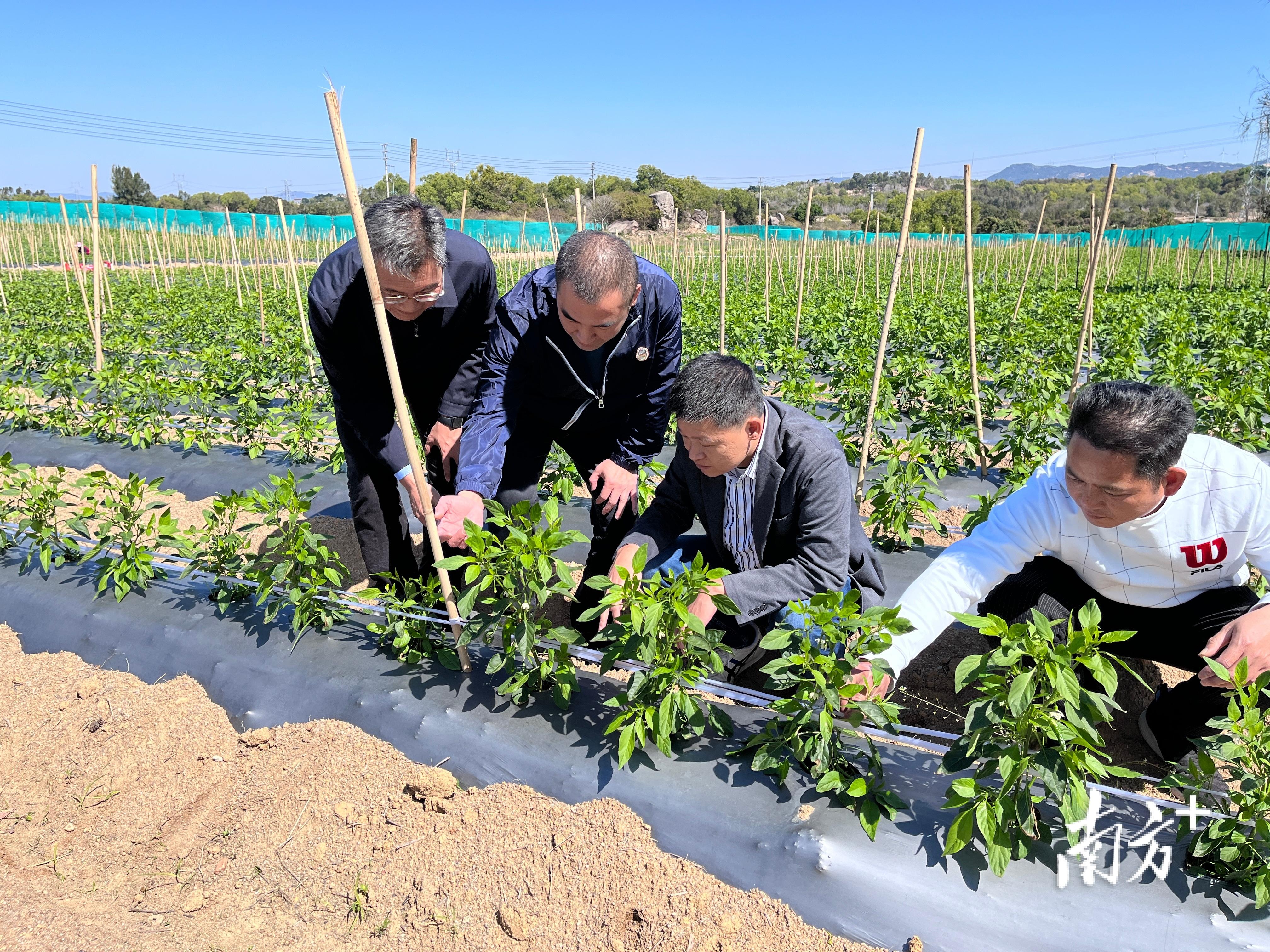 揭阳市食品药品监督管理局发布最新新闻动态